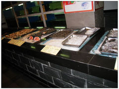 nEO_IMG_IMG_1556-圣雷克大酒店
