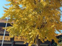 -南京金牛湖风景区