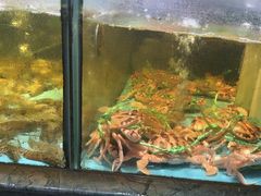 -国惠大酒楼(仓山万达店)