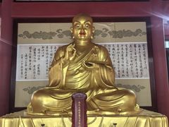 -龙口南山旅游景区