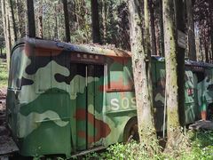 -武陵山森林公园