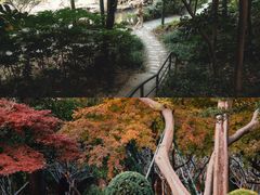-中山公园