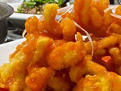 菊花兔-丁月玉兔王(大渡口店)