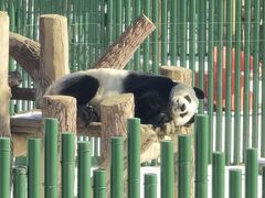 -沈阳森林动物园