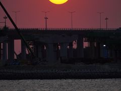 -宝安西湾红树林湿地公园