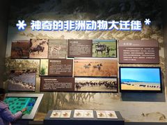 -国家自然博物馆