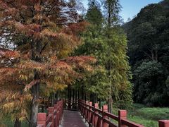 -广州市石门国家森林公园