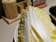 -浩爷羊蝎子火锅(望京店)