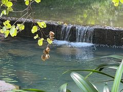 -广州白江湖森林公园