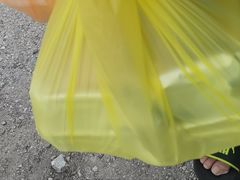 -SS2 榴梿鲜生
