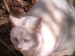 -崂山九水游览区