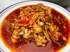 招牌仔姜牛蛙-水煮三国·川鲁江湖菜(香山店)