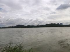-鹤之洲湿地公园