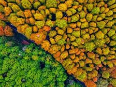 -山王坪喀斯特国家生态公园