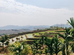 -牙胡梯田