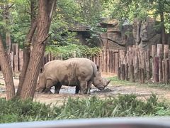 -北京野生动物园