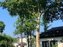 -杭州西湖柳莺里酒店