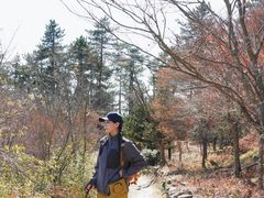 -杭州半山国家森林公园