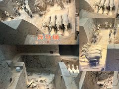 -秦始皇帝陵博物院-丽山园