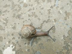 -济南方特东方神画