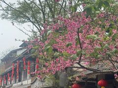 -海窝子古镇