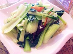 德居源-德居源