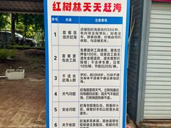 -红树林天天赶海