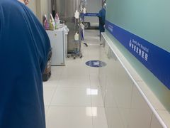 -申普宠物医院·心脏介入·心血管微创(总院)