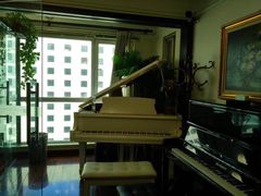 -圣典成人钢琴俱乐部(国贸旗舰校区)