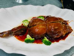 -丁老爷子苏香圆