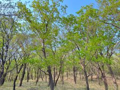 -长春市南湖公园