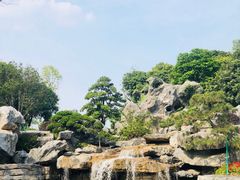 -东莞植物园