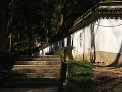 -上海佘山国家森林公园天马山园