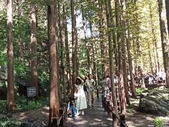 -国家植物园南园