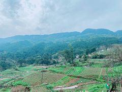 -缙云山景区