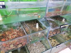 水产区-四海鲜渔家菜(黄金海岸店)
