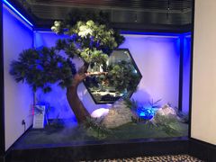 -绿茶餐厅(成都大悦城店)