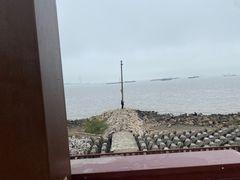 -上海滨江森林公园