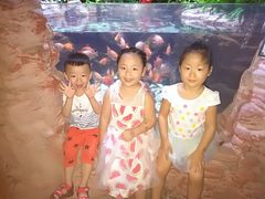 -南昌海洋公园
