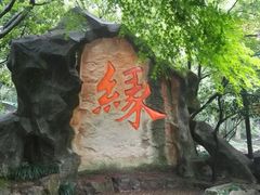 -杭州黄龙洞