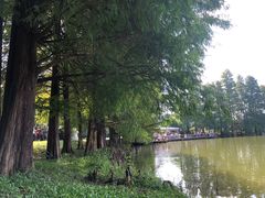 -华南国家植物园-售票处