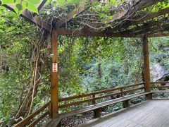 -大岭沟猕猴桃谷风景区