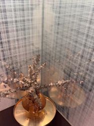 点击看大图 -苗方清颜·祛痘皮肤管理