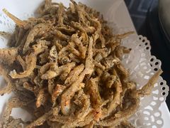 -野菌皇海景野生菌火锅(滨海大道店)