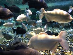 -成都浩海立方海洋公园