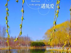 -大兴滨河森林公园