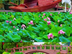 -广州莲花山旅游区