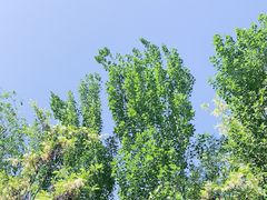 -森林公园(尖草坪区)