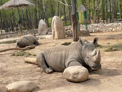 -北京野生动物园