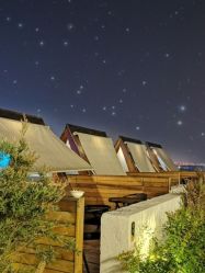 -小蜜蜂农场(凯德七宝购物广场店)